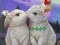 بازی Rescue The Cupid آنلاین