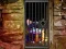 بازی Hidden Cat Escape آنلاین