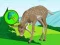 بازی The Deer Meadow Escape آنلاین