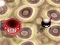 بازی Bouncing Blob آنلاین