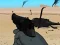 بازی Weapon آنلاین