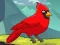 بازی Rescue The Northern Cardinal آنلاین