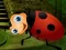 بازی Rescue The Couple Bug آنلاین