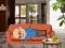بازی Wakeup The Grandpa آنلاین