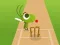 بازی Doodle Cricket آنلاین