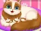 بازی Cute Kitty Pregnant آنلاین