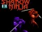 بازی Shadow of the Ninja آنلاین
