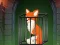 بازی Fox in the Forgotten Ruins آنلاین