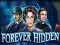 بازی Forever Hidden آنلاین