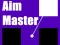 بازی Aim Master آنلاین