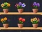 بازی Good Flower Master آنلاین