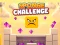 بازی Sponge Challenge آنلاین
