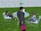 بازی Millionaire Simulator 2024 آنلاین
