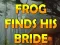 بازی Frog Finds His Bride آنلاین