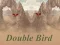 بازی Double Bird آنلاین