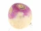 بازی Turnip آنلاین