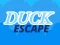 بازی Duck Escape آنلاین