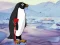 بازی Heal the Wounded Penguin آنلاین