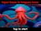 بازی Squid Game In Dalgona Panic آنلاین