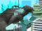 بازی Giant Wanted Monster آنلاین