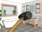 بازی Smash The Room To Pieces آنلاین