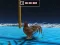 بازی Animal Impossible Track Rush آنلاین