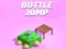 بازی Bottle Jum آنلاین