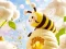بازی Find The Differences: Little Bee's Adventure آنلاین