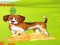 بازی Bunny Key Quest آنلاین
