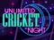 بازی Unlimited Cricket Night آنلاین