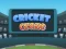 بازی Cricket Craze آنلاین