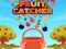 بازی Fruit Catchere آنلاین