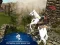 بازی Ertugrul Gazi Horse Sim آنلاین