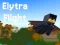بازی Elytra Flight آنلاین