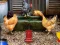 بازی Poultry Farm Easter Escape آنلاین
