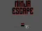 بازی Ninja escape آنلاین
