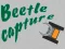 بازی Beetle Capture آنلاین