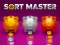 بازی Sort Master آنلاین