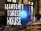 بازی Abandoned Forest House آنلاین