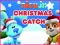 بازی Nick Jr. Christmas Catch آنلاین