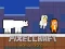 بازی PixelCraft Animal School آنلاین