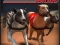 بازی Greyhound Racing آنلاین