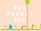 بازی Run Rabbit Run آنلاین