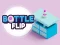 بازی Bottle Flip آنلاین