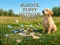 بازی Playful Puppy Outdoor Puzzle آنلاین
