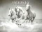بازی Horses Puzzle آنلاین
