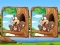 بازی Jungle 5 Diffs آنلاین