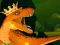 بازی The Dino King آنلاین