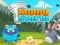بازی Bunny Storm آنلاین