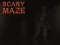 بازی Scary Maze آنلاین